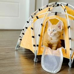 Tiny Tents Basecamp Dome Tent -Tents Camp Furniture Shop bc078a58 0f5b 4acf bdd9 aa4111d22a54