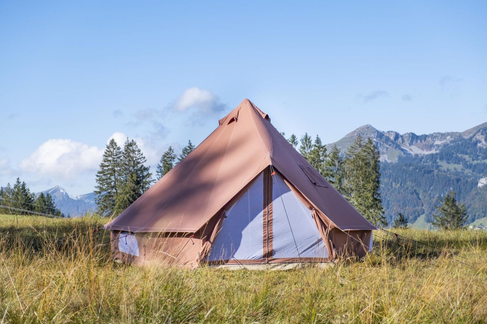 Tents Camp Furniture Shop -Tents Camp Furniture Shop 9456 1 SPATZ Cotton Exchange Toggenburg 1jpg large